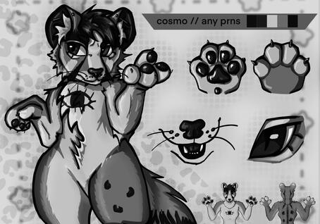batz -- basic info about me!